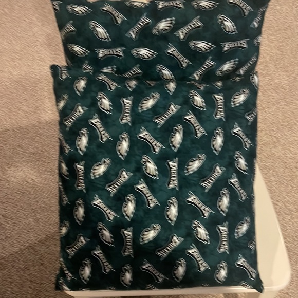 Pair of Eagles pillows custom made - Picture 2 of 2